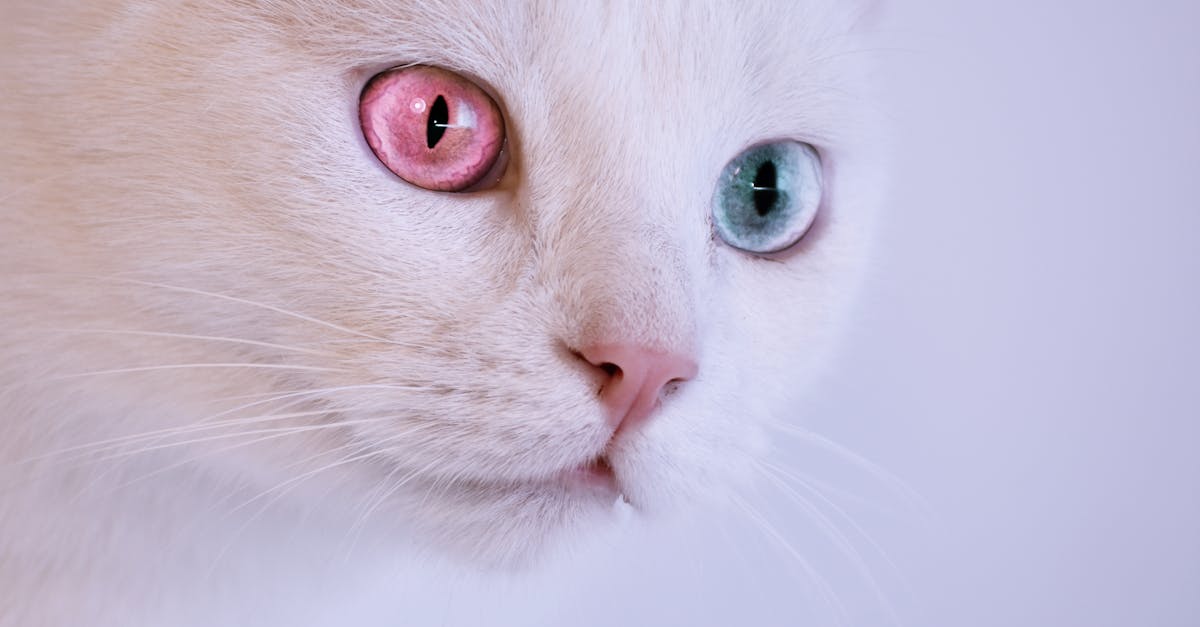 How to draw cute cartoon eyes easy