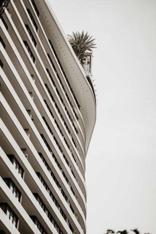 Free A sleek modern building showcasing innovative architectural design with palm decor on the rooftop. Stock Photo