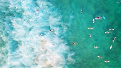 Aerial View of Person on a Surfboard Swimming · Free Stock Photo