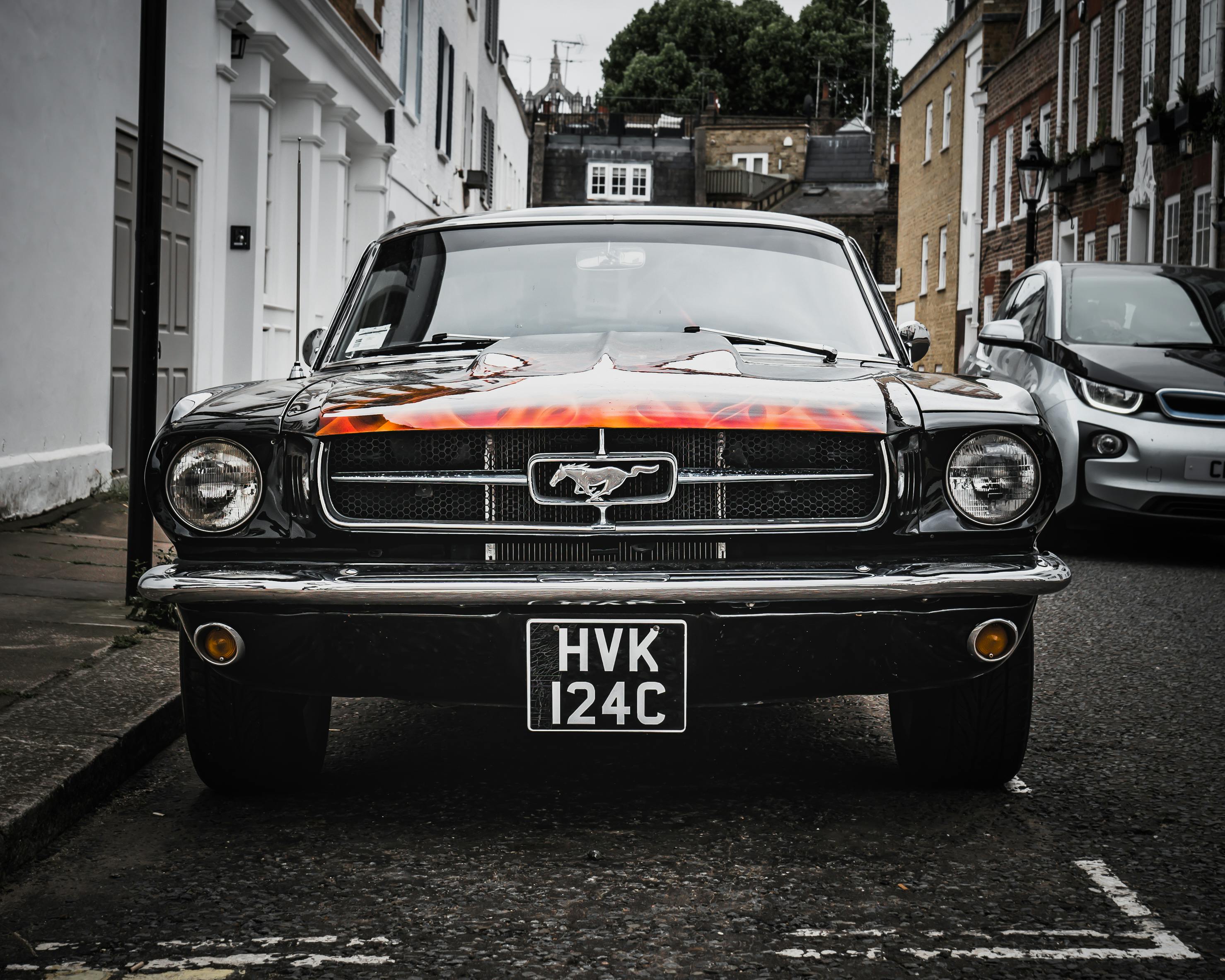 ford mustangs