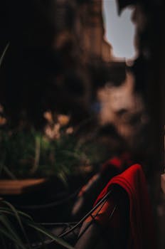 喜怒无常的户外场景中，模糊的树叶与红布营造出戏剧性的氛围