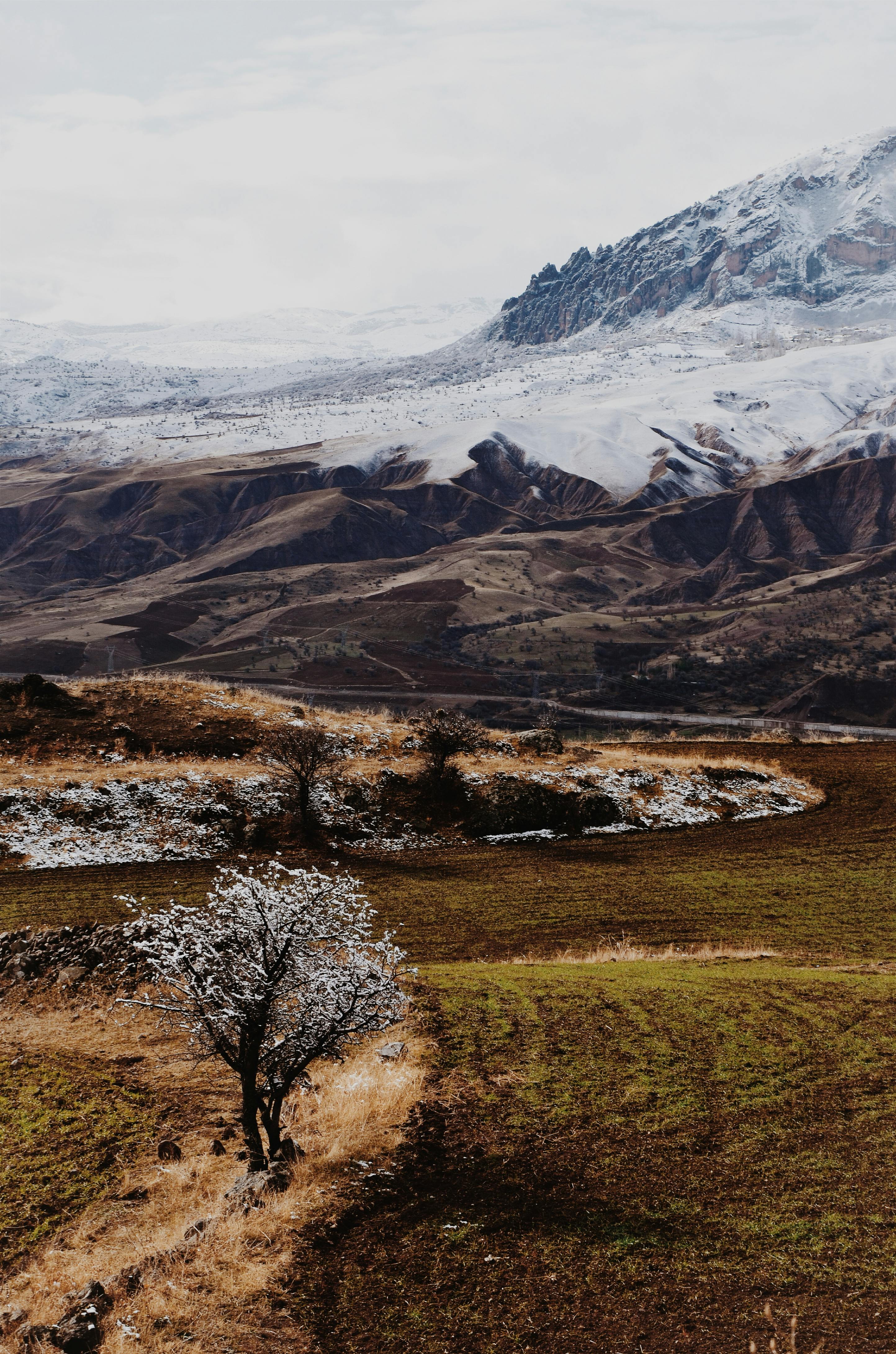 白雪皑皑的山峰、郁郁葱葱的田野，与风景如画的山地景观，共同展现了大自然的美丽