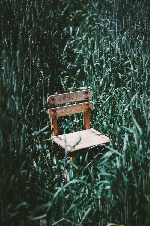 Free A vintage wooden chair surrounded by lush grass, evoking a rustic and serene atmosphere. Stock Photo