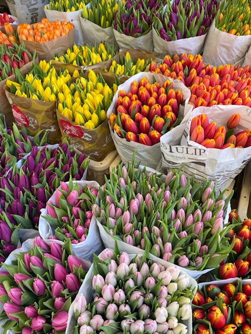 Tulipas No Farmers Market