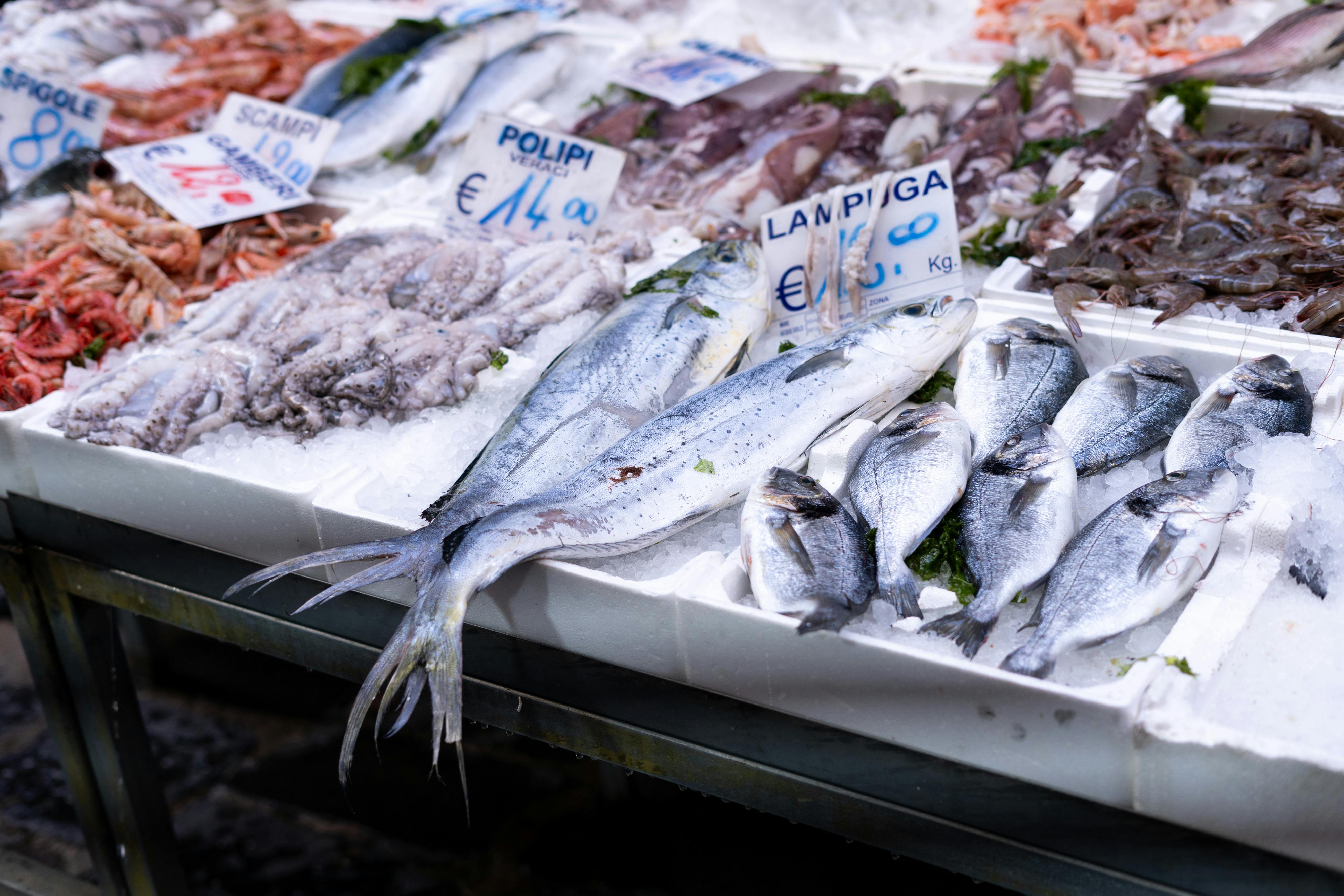 fresh fish on display at a market