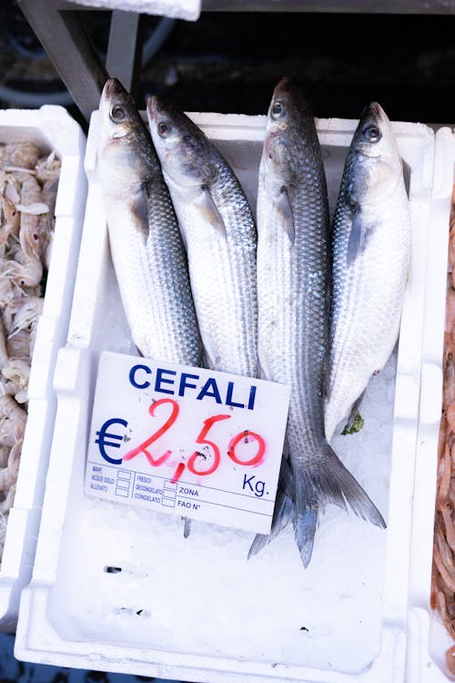 Fresh fish for sale at a market in italy