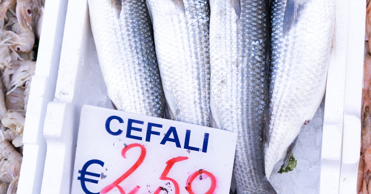 運動彩券熱潮引爆銷售!突破643億紀錄 🎉💰