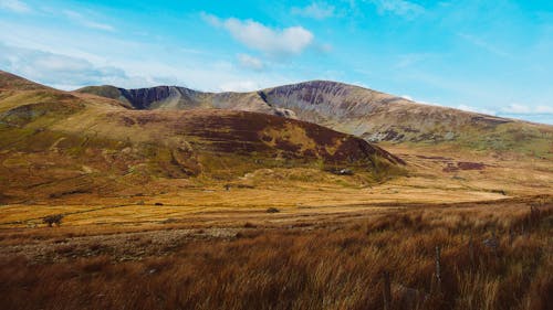 Brown Grass Field Near Brown Mountain Under Blue Sky