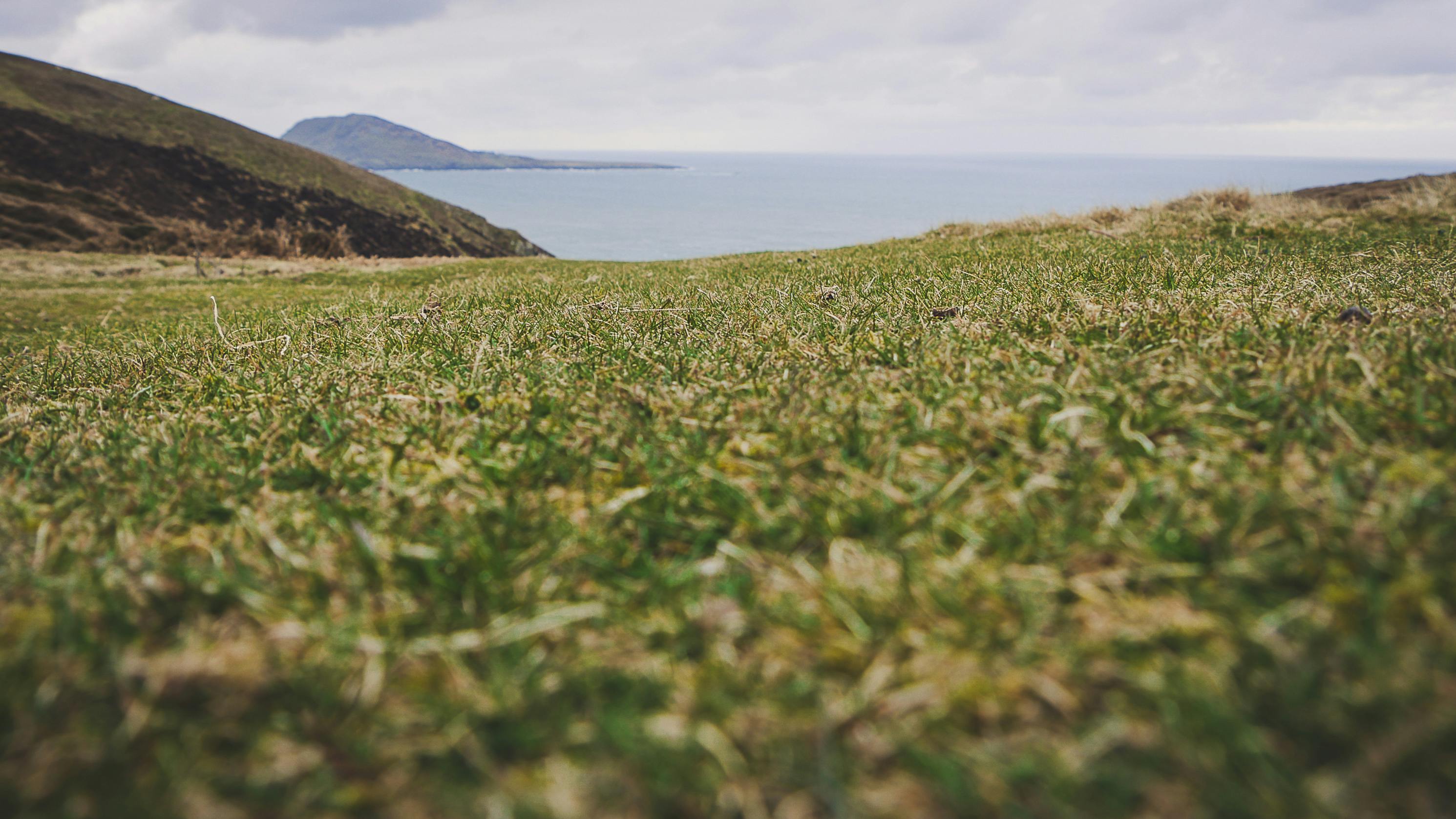 Idyllic landscape of Cilan Uchaf with grassy fields overlooking the sea.