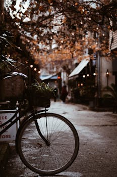 A vintage bicycle parked on a dimly lit urban street with fall leaves.