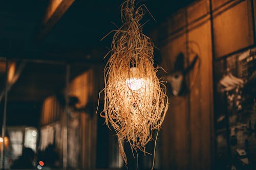 Focus Photography of Light Bulb