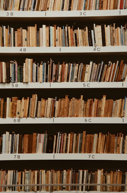 Free Books File on Book Shelves Stock Photo