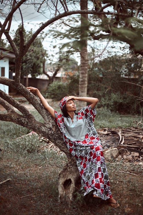 Imagine de stoc gratuită din arbore, basma, femeie africană