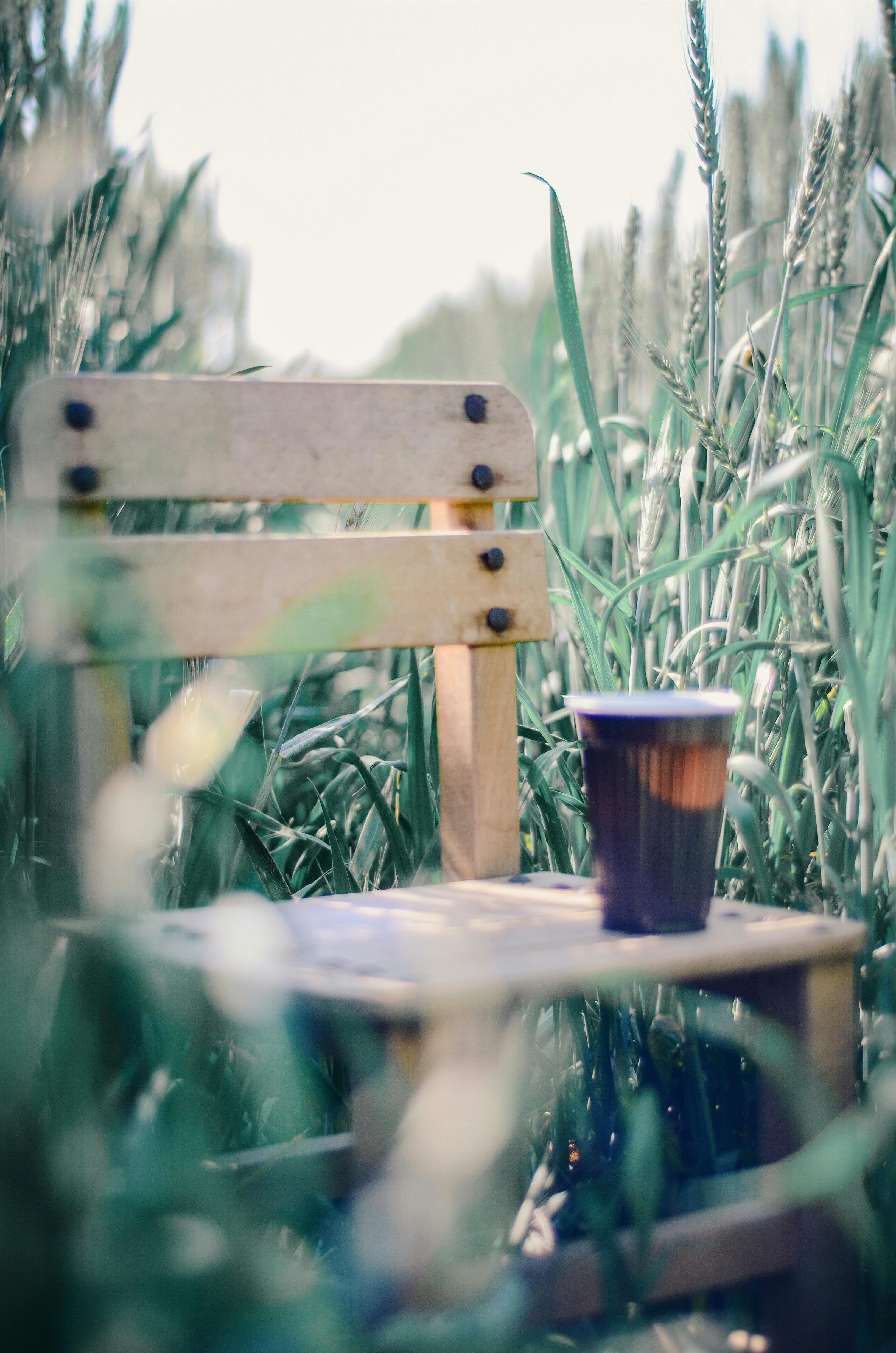 Cup On Wooden Chair · Free Stock Photo