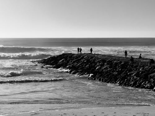 Foto d'estoc gratuïta de blanc i negre, Costa, escullera