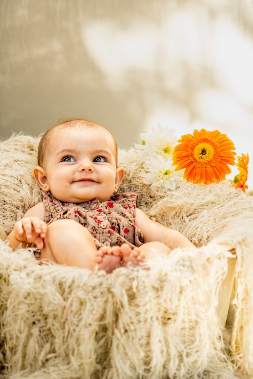 Free A baby girl sitting in a basket with flowers Stock Photo