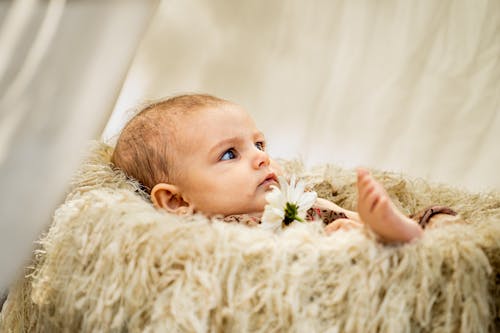 Free A baby is laying in a fur blanket with flowers Stock Photo