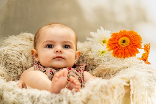 Charming baby resting in a fluffy basket surrounded by vibrant flowers, creating a warm and tender scene.