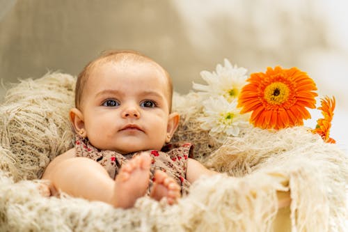Free A baby is sitting in a basket with flowers Stock Photo