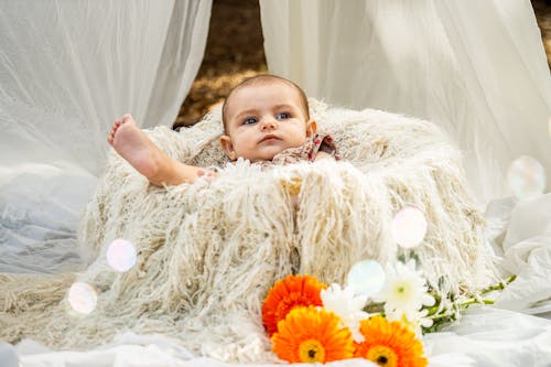 Free A baby is sitting in a fluffy blanket with flowers Stock Photo