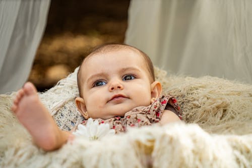 Free A baby laying in a basket with a flower on it Stock Photo