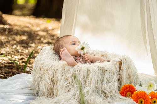 Free A baby is laying in a basket with flowers Stock Photo