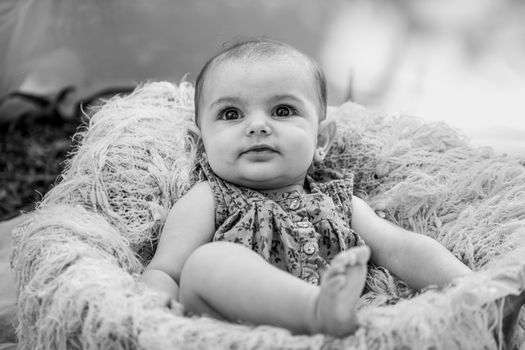 A charming black and white portrait of a baby resting in a cozy knitted nest.