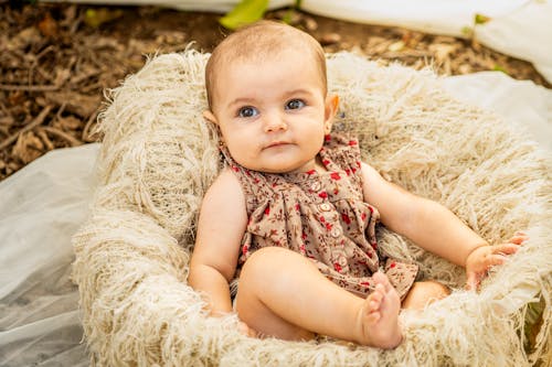 Free A baby sitting in a basket with a blanket Stock Photo
