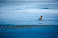 一只天鹅静静地立在平静的蓝色水面上，构成了一幅宁静的风景