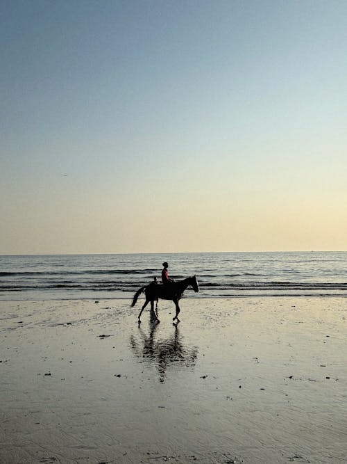 ムンバイ, 日没, 海の無料の写真素材