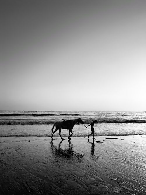 Free Black and white image of a person walking a horse along a serene beach shore. Stock Photo