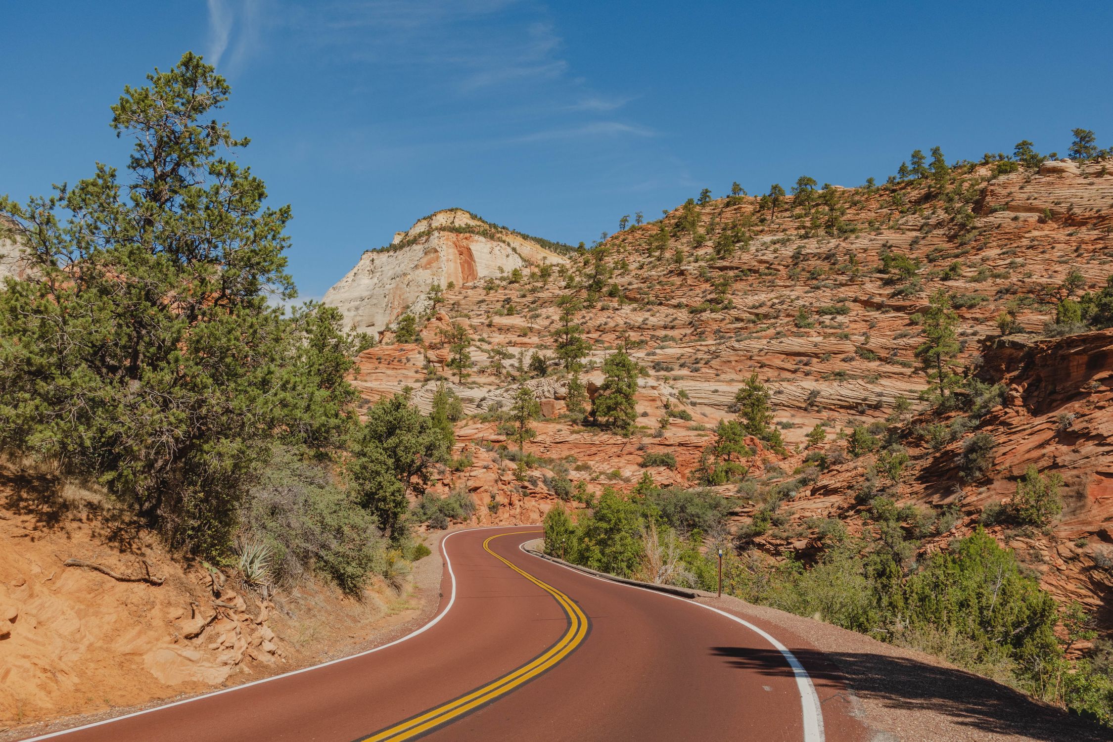 A winding road through the dramatic landscapes of Zion National Park under a bright blue sky.