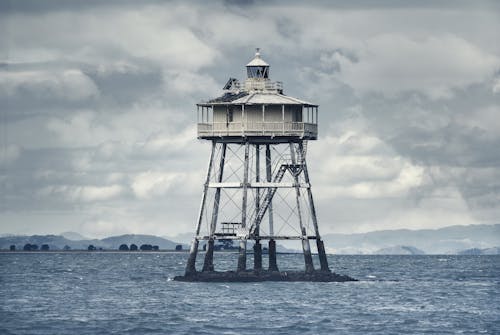 Foto profissional grátis de auckland, farol de pedra de feijão, mar