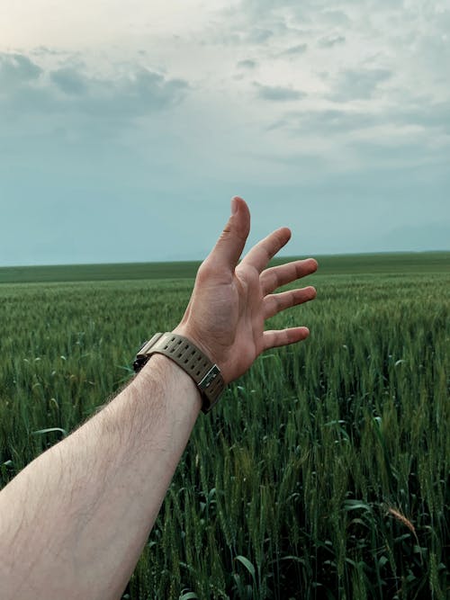 Gratis stockfoto met akkerland, boerderij, buiten