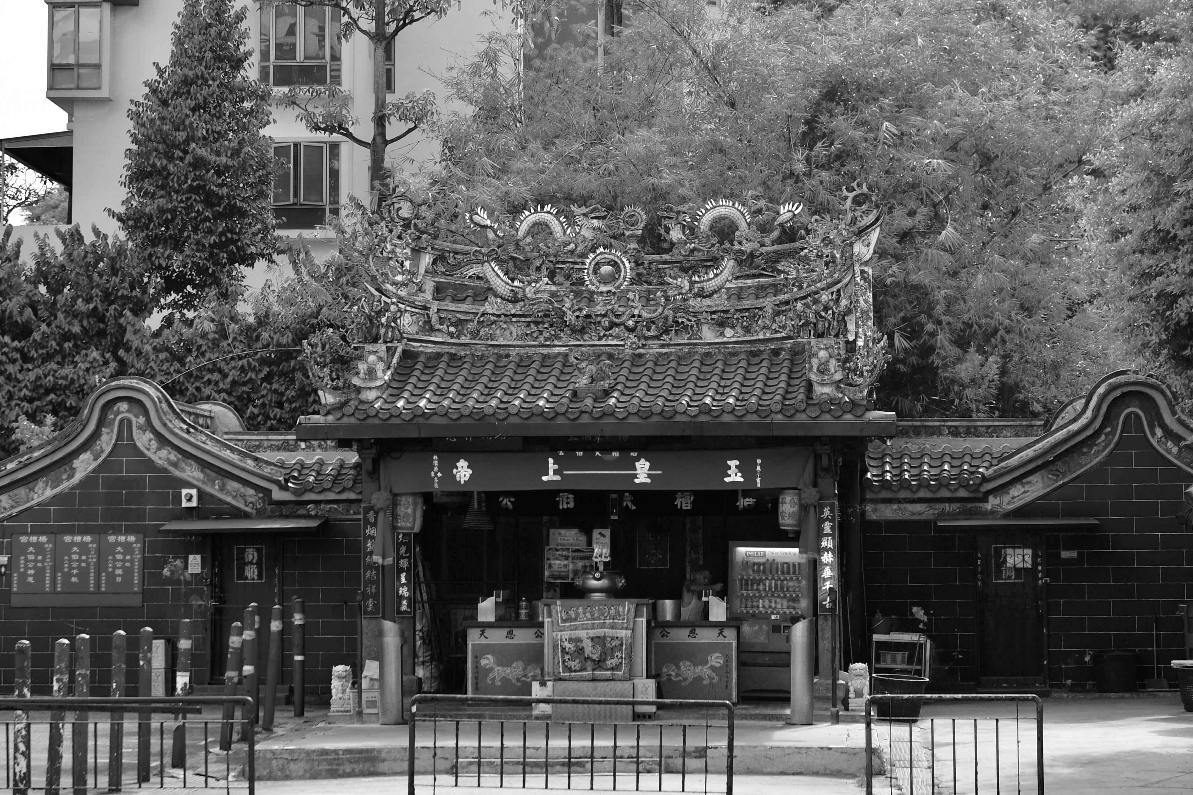 Black, Asian Photos, Download The BEST Free Black, Asian Stock Photos