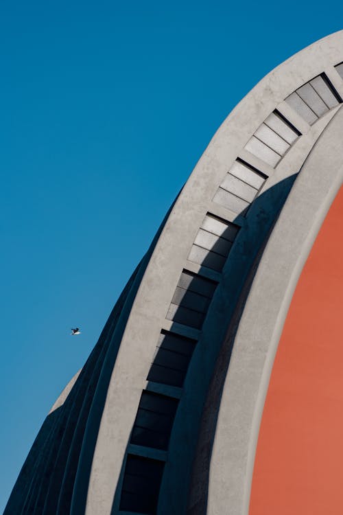 Základová fotografie zdarma na téma budova, čisté nebe, létání