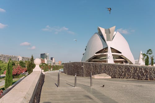 公園, 博物館, 卡莱 的 免费素材图片