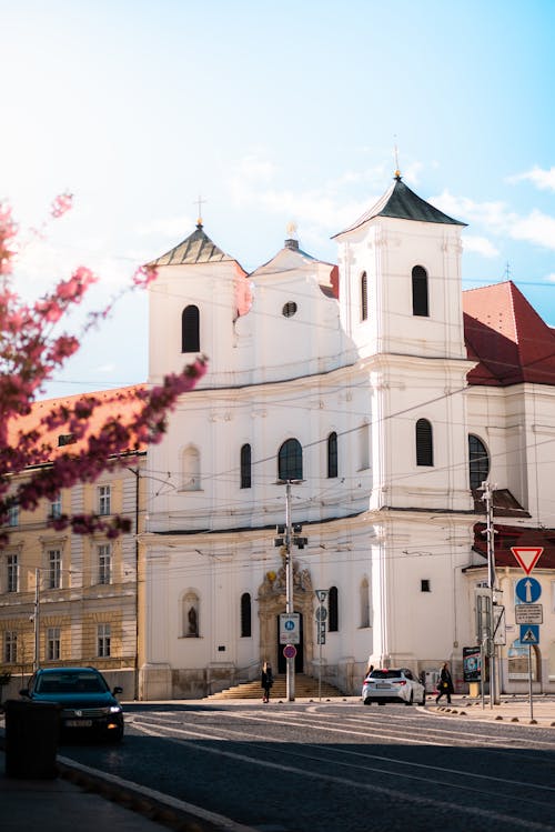 Gratis lagerfoto af biler, bratislava, by