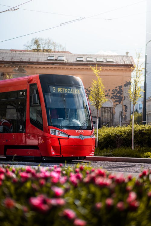 Fotobanka s bezplatnými fotkami na tému bratislava, budova, číslo