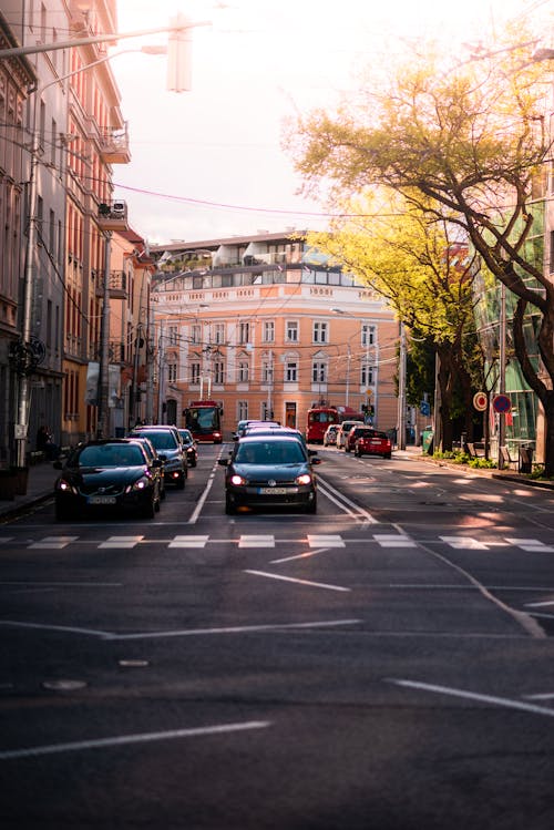 Gratis stockfoto met auto's, bomen, gebouwen