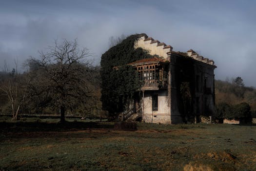 An abandoned house covered in ivy, located in a rural village in Spain.