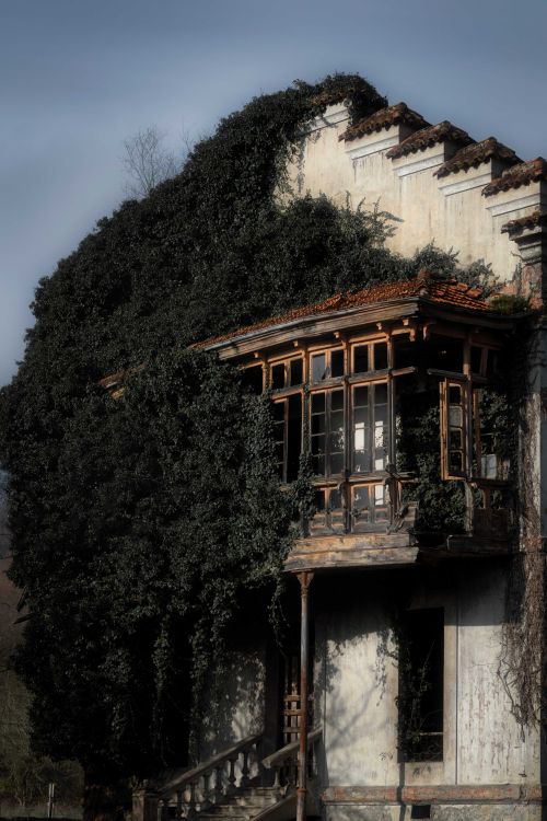 Free Explore the mystery of an ivy-covered, abandoned house in Ariuondas, Spain. Stock Photo