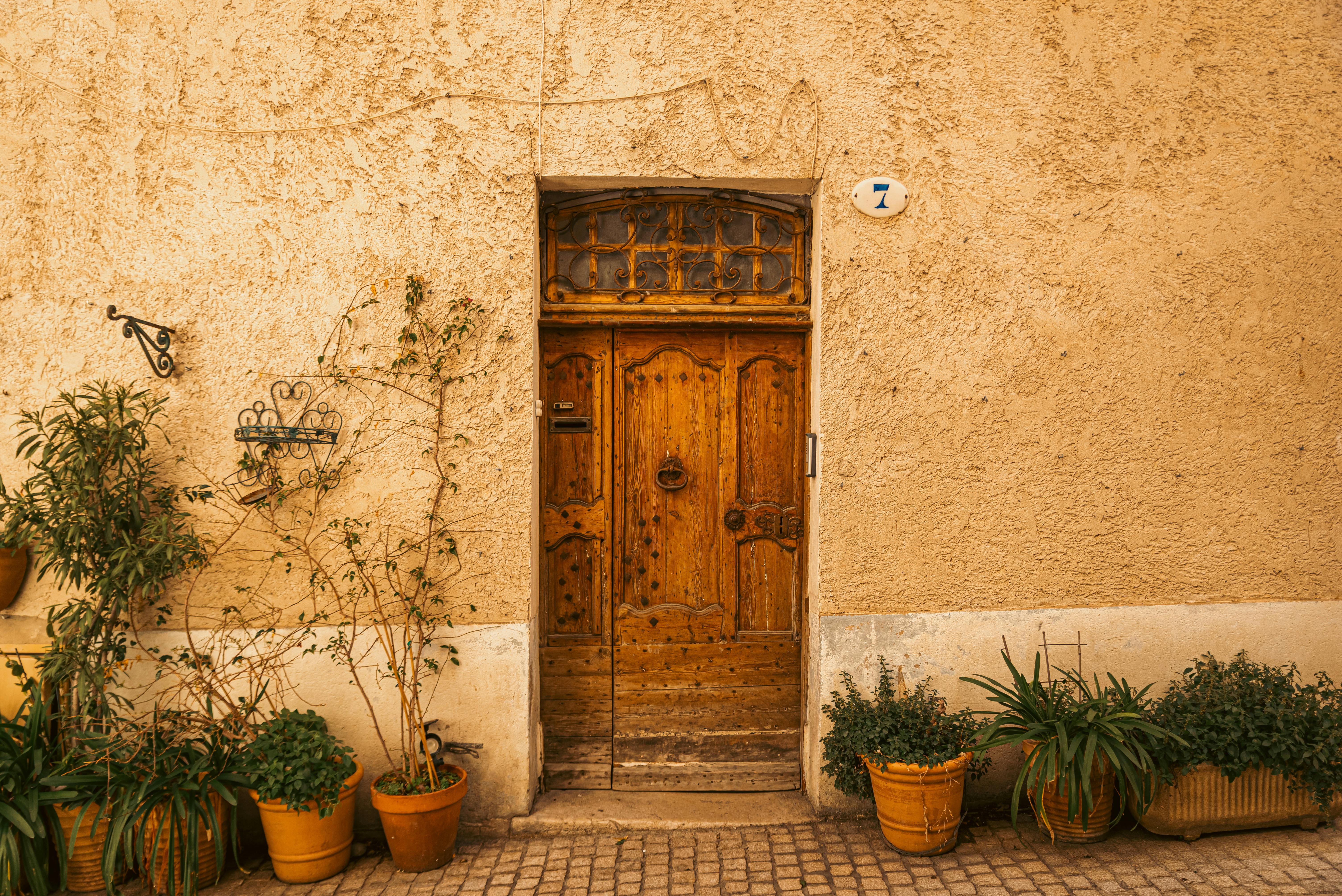 Charming wooden door with potted plants in Saint-Tropez, ideal for travel and architecture themes.