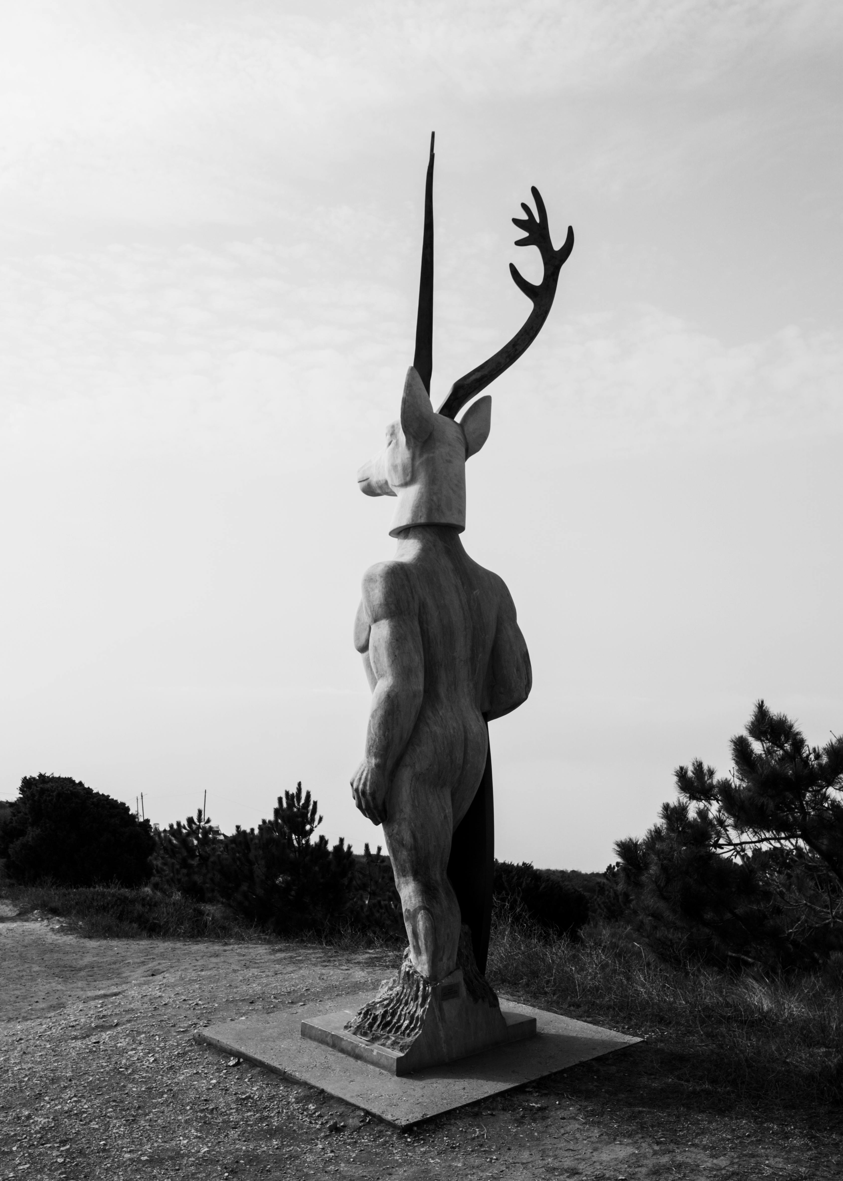 grátis Foto profissional grátis de à beira-mar, abstrair, ao ar livre Foto profissional