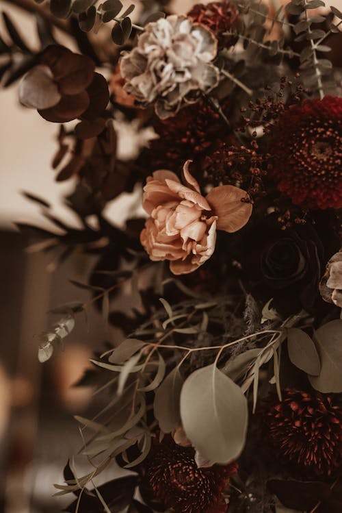 Free A close up of a bouquet with red and brown flowers Stock Photo