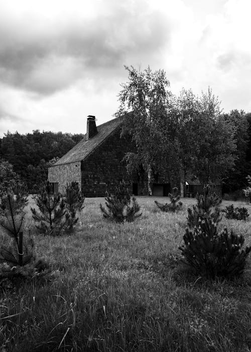 A black and white photo of a house in the woods