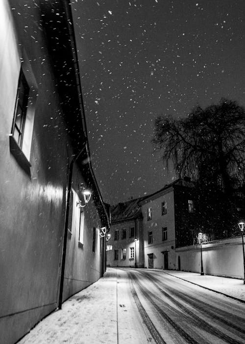 Imagine de stoc gratuită din alb-negru, fotografiere verticală, iarnă