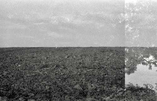 Základová fotografie zdarma na téma černobílý, farma, horizont