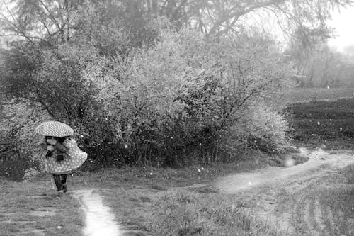 Darmowe zdjęcie z galerii z chodzenie, czarno-biały, deszcz
