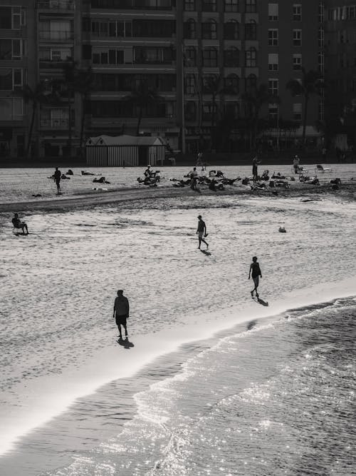 People on a Beach in Black and White 